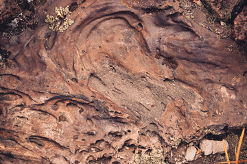 Close up detail of volcanic lava rock basalt found in the desert