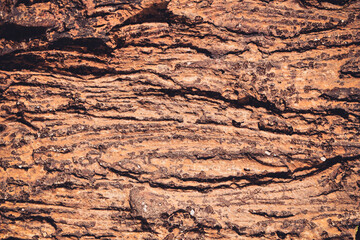 Close up detail of volcanic lava rock basalt found in the desert