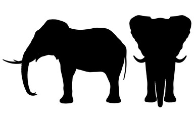 Silhouette of an elephant isolated on a white background. Side and front views. Vector illustration
