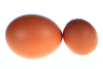 The egg is white background