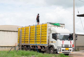 Reduce chicken in cage by spray water.