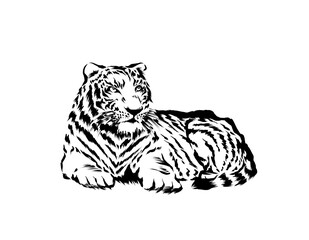 手描き線画の虎