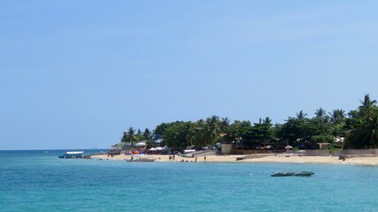 beach with trees and sea