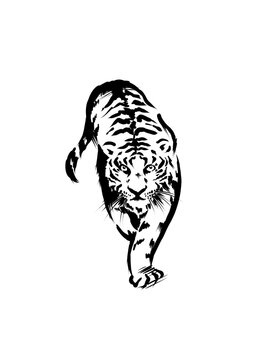 recommend clip art: 手描き線画の虎