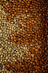 Roasted and unroasted coffee beans