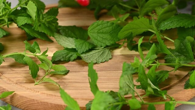 green fresh mint leaves on a wooden cutting board, hand tearing leaves from the stem, close up