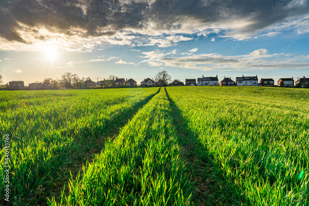 Poster green field with sun flare. landscape of england in spring season