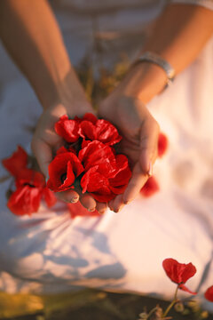 beautiful woman in white dress with red poppies petals in hands
