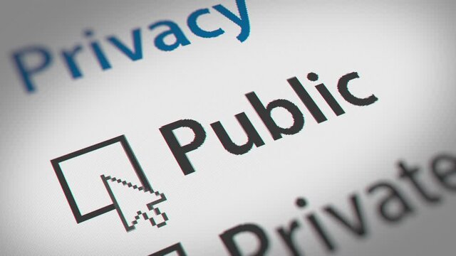 Mouse Cursor Clicking Public and Private Checkbox on Data Protection and Privacy Policy
