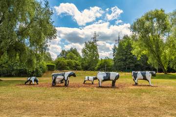 Concrete cows at the park