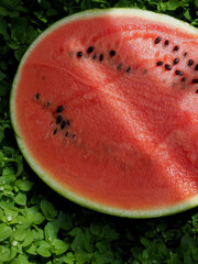 신선한 유기농 과일 수박, 음식 