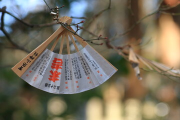 shrine fortune 扇子型のおみくじ - obrazy, fototapety, plakaty