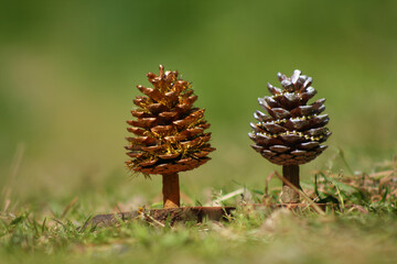two symbols of the new year in the form of a christmas tree made of cones on a green background