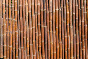 Bamboo fence of tightly placed poles
