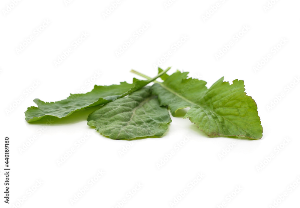 Poster green arugula leaves.