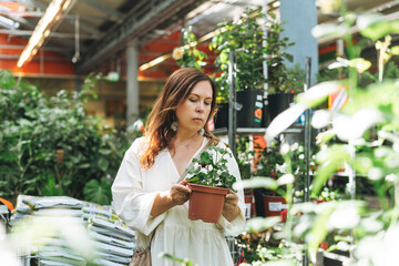 Brunette middle aged woman in white dress buys green potted house plants at garden store