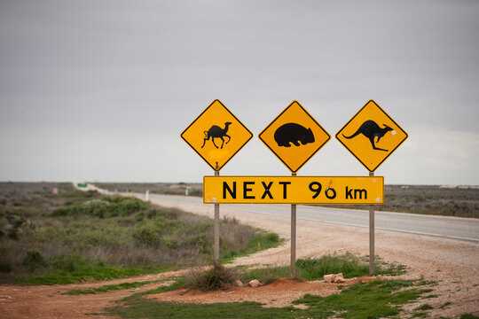 Road sign on an open stretch of the nullarbor