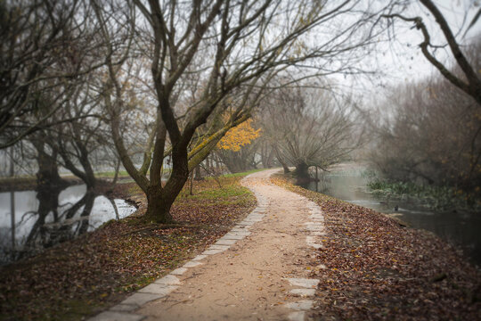 Winding path through gardens on a misty morning