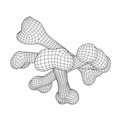 Anatomy Dog Bone object. Wireframe low poly mesh vector illustration