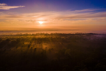 Sunrise shining golden rays through the early morning fog softly blanketing a prehistoric landscape