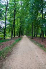 Naklejka premium Kromlau Park