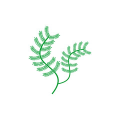 sea plant icon set vector sign symbol