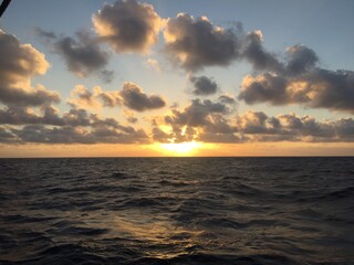 Obraz premium beautiful sunsets