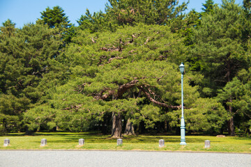 jarin japones con una lampara