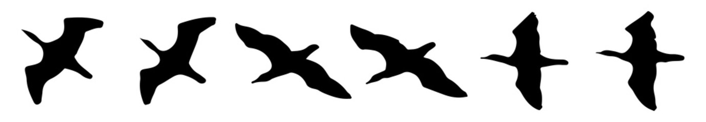 Set of birds contour silhouettes for drawing flying shapes on your collage, different angles. Eps10 vector illustration isolated on white background.