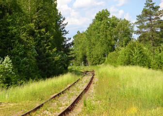 Train tracks in the summer green forest