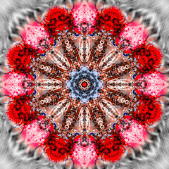 Beautiful symmetrical pattern of mandala, zendala