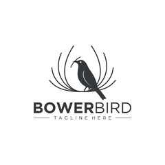 bird logo, weaver bird logo, bower bird logo vector