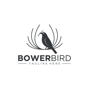 bird logo, weaver bird logo, bower bird logo vector