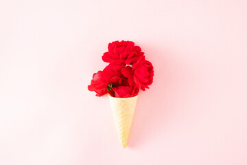 A rose in a icecornet on a pink background.