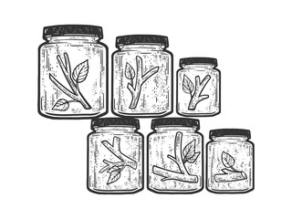 Tree in glass jars line art sketch raster