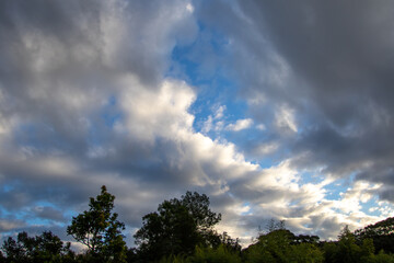Cloudscapes above the Knysna forest in South Africa