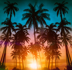 Obraz na płótnie Canvas Silhouette coconut palm trees on beach at sunset. Vintage tone.