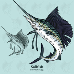 Jumping Sailfish. Vector illustration with refined details and optimized stroke that allows the image to be used in small sizes (in packaging design, decoration, educational graphics, etc.)