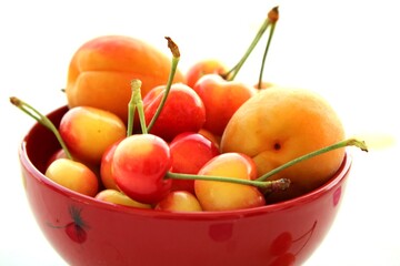 Naklejka na ściany i meble bowl of cherries and apricots fresh summer fruits