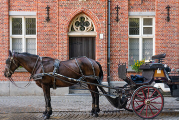 Fototapeta na wymiar Horse-drawn carriages in Bruges, Belgium