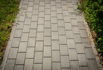 Footpath with grass texture background, paved path pattern