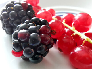 Rote Johannisbeeren und schwarze Brombeeren