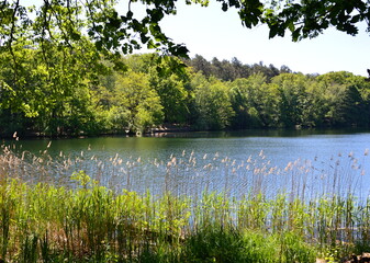 Frühling am See Krumme Lanke im Stadtteil Zehlendorf, Berlin
