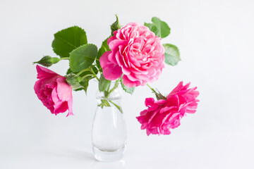 romantic delicate bouquet of pink garden roses on white background