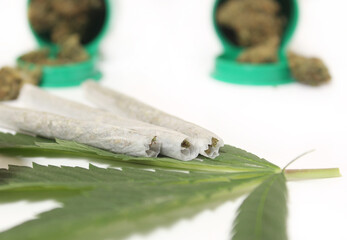Legal Marijuana Buds and CBD Hemp Flowers With Green Leaf