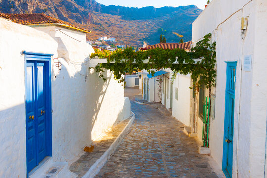 Fototapeta View of grapes in Hydra island Saronikos gulf Greece