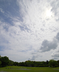 空に広がる明るい雲と緑の公園