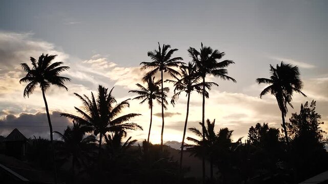 Palm trees silhouettes at sunset in Keanae Peninsula, Maui, Hawaii. High angle, parallax movement, slow motion, HD.