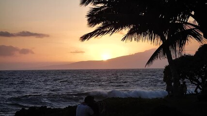 Palm trees coast beach with sun at sunset in Maui, Hawaii. Mid angle, parallax movement, slow motion, HD.