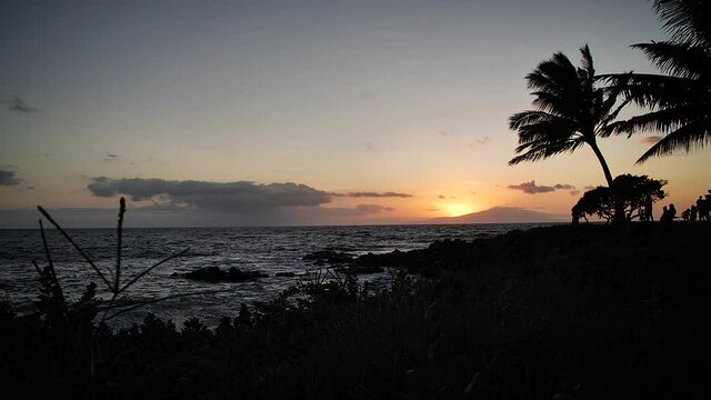Palm trees coast beach with sun at sunset in Maui, Hawaii. Mid angle, parallax movement, slow motion, HD.